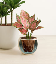 Load image into Gallery viewer, Woodland stand:all