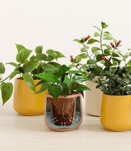 Load image into Gallery viewer, Evening Sky stand:all