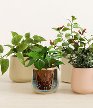 Load image into Gallery viewer, Sandy stand:all