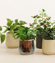 Load image into Gallery viewer, Woodland stand:all