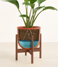 Load image into Gallery viewer, Earth Red stand:walnut