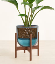 Load image into Gallery viewer, Iron Gray stand:walnut