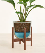 Load image into Gallery viewer, Sage Green stand:walnut