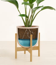 Load image into Gallery viewer, Sandy Pink stand:bamboo
