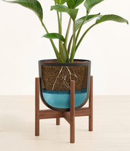 Load image into Gallery viewer, Stone Black stand:walnut