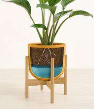 Load image into Gallery viewer, Sunset Orange stand:bamboo