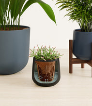 Load image into Gallery viewer, Charcoal