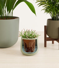 Load image into Gallery viewer, Earthy