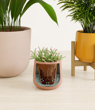 Load image into Gallery viewer, Evening Sky