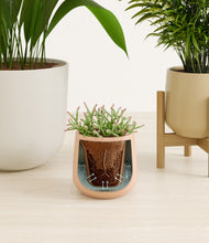 Load image into Gallery viewer, Sandy