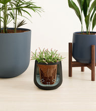 Load image into Gallery viewer, Charcoal