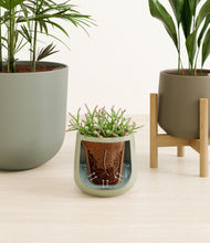 Load image into Gallery viewer, Earthy