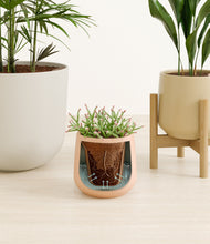 Load image into Gallery viewer, Sandy