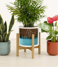 Load image into Gallery viewer, Liberty Hues