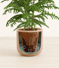 Load image into Gallery viewer, Striped Peach Pink stand:all
