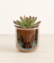Load image into Gallery viewer, Hammered Peach Pink stand:all