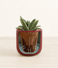 Load image into Gallery viewer, Striped Cherry Red stand:all