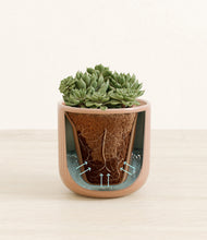 Load image into Gallery viewer, Striped Peach Pink stand:all