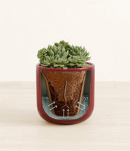 Load image into Gallery viewer, Striped Cherry Red stand:all