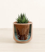 Load image into Gallery viewer, Hammered Peach Pink stand:all