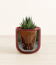 Load image into Gallery viewer, Striped Cherry Red stand:all