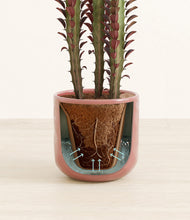 Load image into Gallery viewer, Hammered Rose Pink stand:all