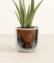 Load image into Gallery viewer, Hammered Ivory stand:all