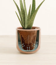 Load image into Gallery viewer, Hammered Peach Pink stand:all