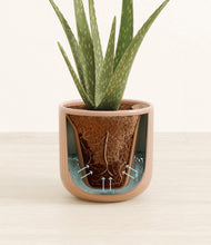 Load image into Gallery viewer, Striped Peach Pink stand:all