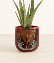 Load image into Gallery viewer, Striped Cherry Red stand:all