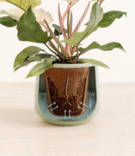 Load image into Gallery viewer, Turquoise stand:all