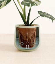 Load image into Gallery viewer, Turquoise stand:all
