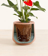 Load image into Gallery viewer, Calm Rose stand:all