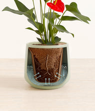 Load image into Gallery viewer, Turquoise stand:all