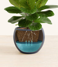 Load image into Gallery viewer, Deep Navy