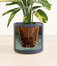 Load image into Gallery viewer, Deep Navy stand:all