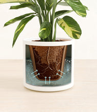 Load image into Gallery viewer, White stand:all