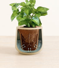 Load image into Gallery viewer, Almond Green stand:all