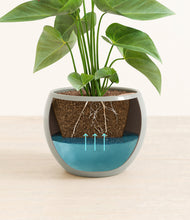 Load image into Gallery viewer, Deep Ocean