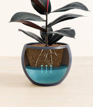 Load image into Gallery viewer, Deep Navy