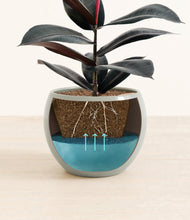 Load image into Gallery viewer, Deep Ocean