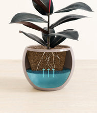 Load image into Gallery viewer, Winter Clouds