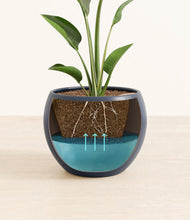 Load image into Gallery viewer, Deep Navy