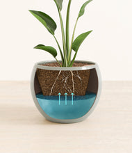 Load image into Gallery viewer, Deep Ocean