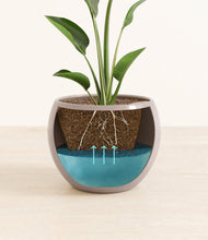 Load image into Gallery viewer, Winter Clouds