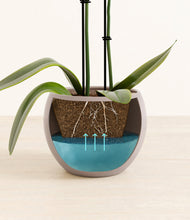 Load image into Gallery viewer, Winter Clouds