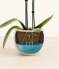 Load image into Gallery viewer, Shiny EggWhite