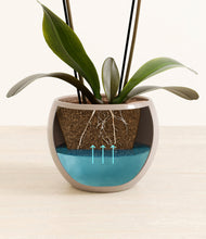 Load image into Gallery viewer, Desert Brown