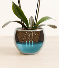 Load image into Gallery viewer, Deep Ocean