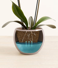 Load image into Gallery viewer, Winter Clouds